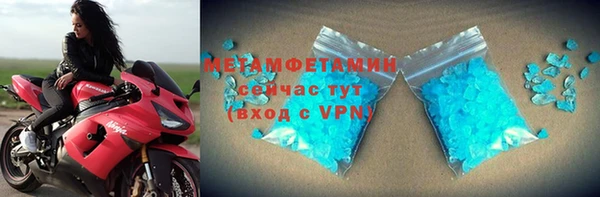 прущие грибы Надым