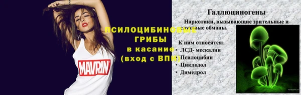 прущая мука Арсеньев