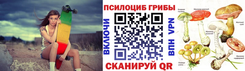 купить наркотик  блэк спрут ссылки  Галлюциногенные грибы Psilocybine cubensis  Родники 