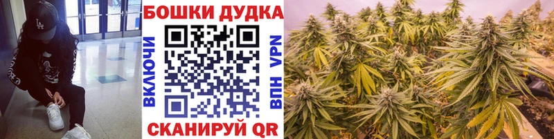 купить наркотики сайты  Родники  Бошки Шишки Bruce Banner 